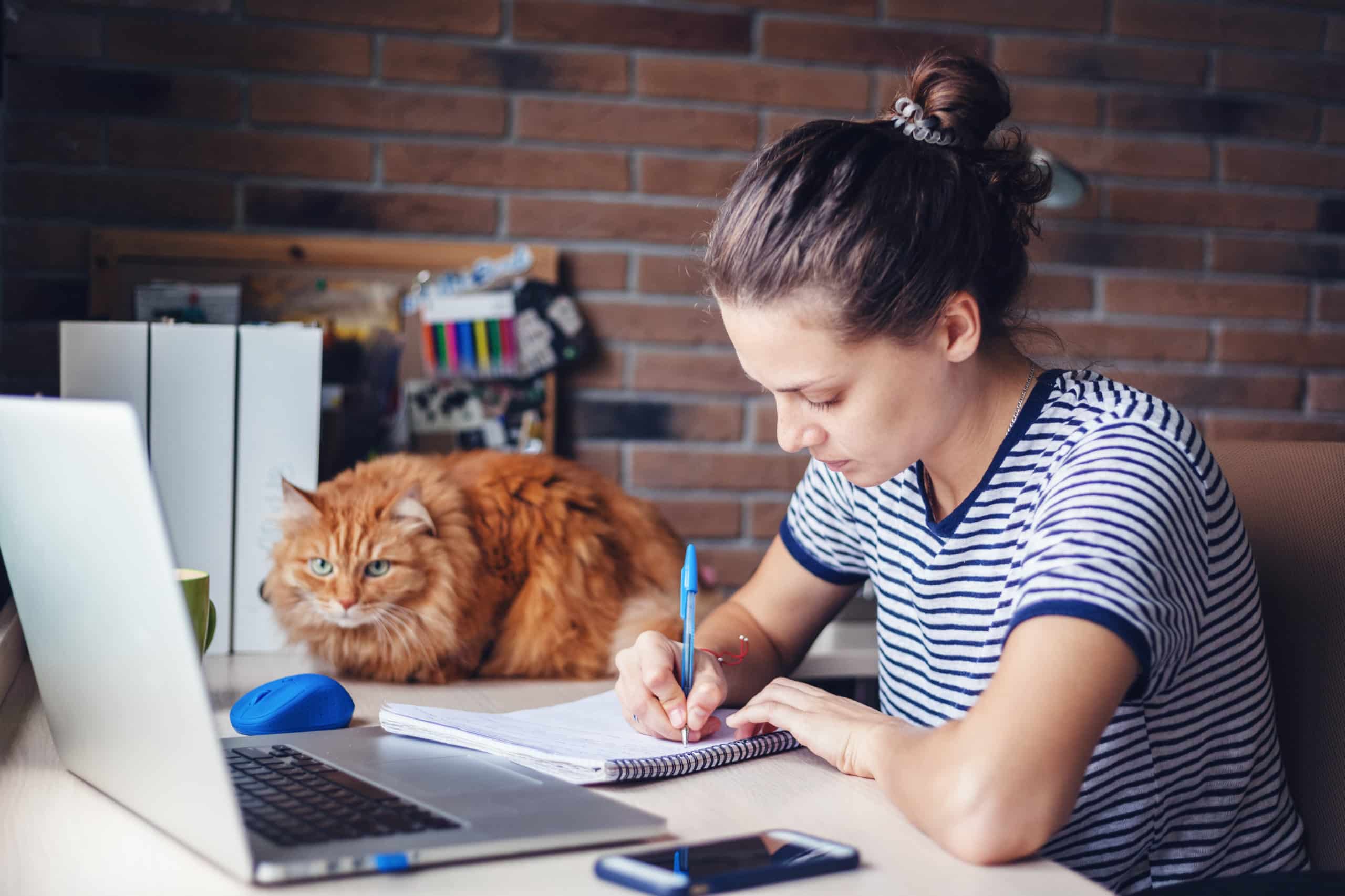 Girl student working at home desk, why video captions are needed in school budget