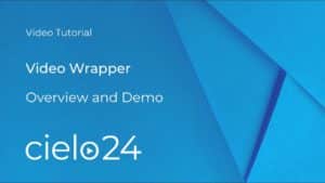 video-wrapper-demo