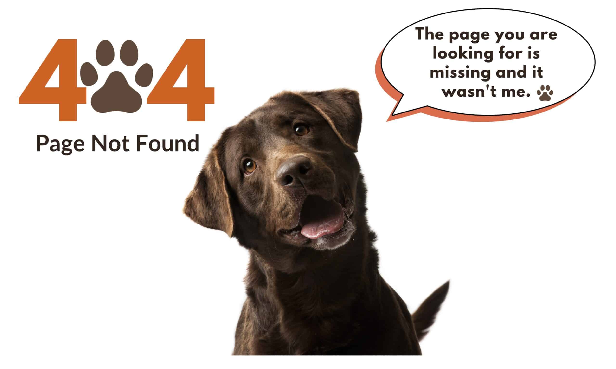 This is a 404 Error page.  The page you are looking for can not be found. 